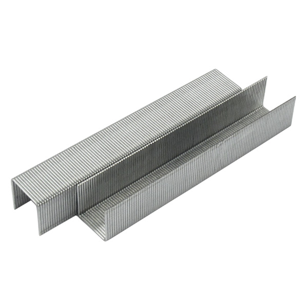 Staples Axent
